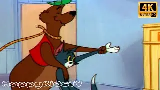 Том и Джерри - Музыкальный медведь (102 серия)