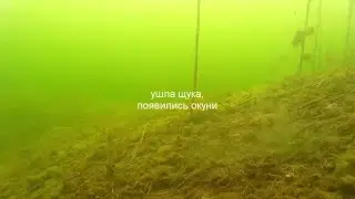 Зимняя рыбалка. Подледная съемка. Большая щука. Окуни .игра балдой под водой