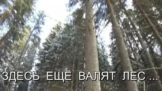 Лиственница  лучший материал из дерева