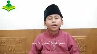 An Naba Tahfidz