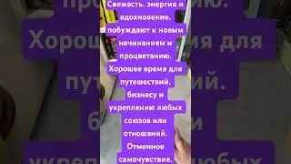Карта дня 17.08.24#sorts