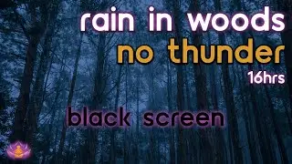 [Black Screen] Rain in Woods No Thunder | Rain Ambience | Rain Sounds for Sleeping