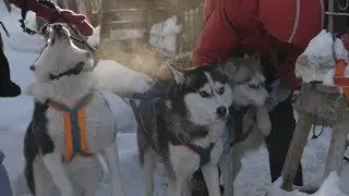 Документальный фильм 