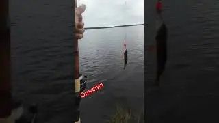 вечер озеро спиннинг окунь