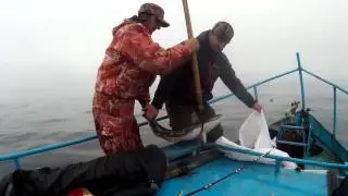 Рыбалка на палтуса