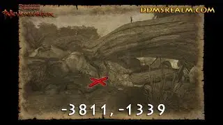 Neverwinter - TOA - Lost City of Omu Treasure Map Location - Root Bridge
