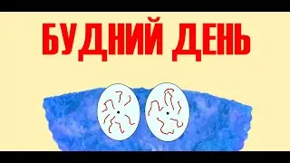 Будний день