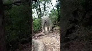 #monster