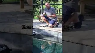Testing Cleanup:  Success or Failure #shorts #poolskimmer