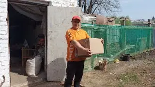 Её убрали,а их объединили.