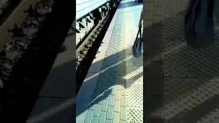 Максим кормит голубей
