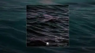 Сheba - Держу пари