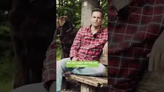 Eine der häufigsten Formen im Aggressionsverhalten