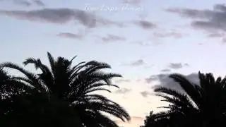 Sunset, Palm Trees and Clouds TIME LAPSE HD