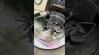 Черные камни-загадочные и таинственные…