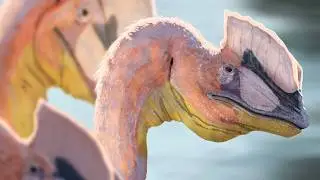 What Was Life Like During the Jurassic Period?