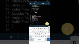 python flet Text decorations