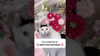 подробности 👉 