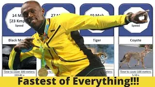 Curious to know the fastest !?? Click and experience speed 🐆🏃⚡️