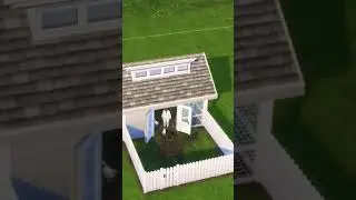 keep the foxes out with this chicken coop build! 🐓 