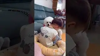 The Cute Dog cheered up the crying child 😍🥹