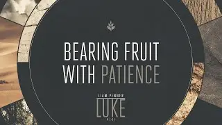 Bearing Fruit With Patience