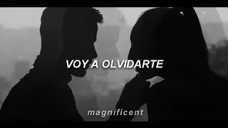 Reik - Voy a Olvidarte (Letra)