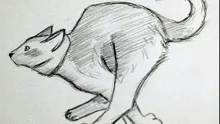 рисунок кошки карандашом, katzen zeichnung mit bleistift