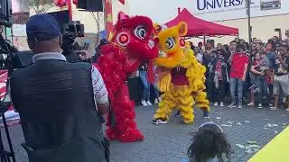 Danza del león,