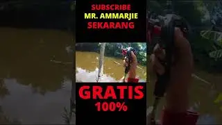 DAPAT TARIKAN IKAN BESAR DARI JARAK JAUH