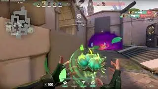 spray and prey