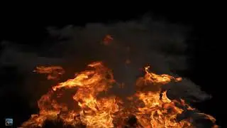 Relaxing Burning Fire Background Video Black Screen Effect 4K