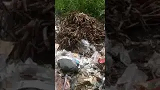 ada indonesia gaessss #sampah #gameplay #jorok #jijik #ironic