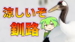 【長期滞在・避暑地向け】釧路の気温が涼しすぎる【ずんだもんオールマイティ・ラボ風】