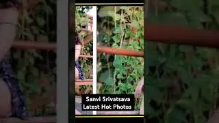 Sanvi Srivatsava Latest Hot Photos  #factsintelugu #shanvisrivastava #rarephotos #hotphotos