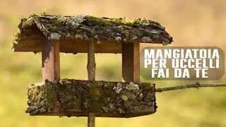 MANGIATOIA PER UCCELLI FAI DA TE