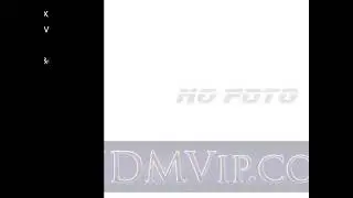 2008 TOYOTA PROBOX VAN DX__P NCP55V - Japanese Used Car For Sale Japan Auction Import