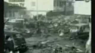 los Zigos- fuerzas defensivas de la Madre Tierra