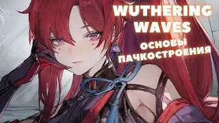 Wuthering Waves ❃ Основы пачкостроения ❃ Как собрать отряд и выбрать Эхо