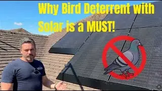 Pigeon Proofing Solar Panels UK | Bird Wire Protection Installation Explained