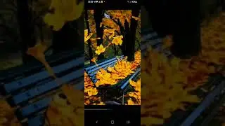 Осень уже через неделю!!!