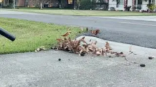 Maintain Your Storm Drains