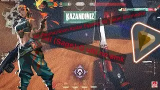 5 Eşşekçi Bronz Eloda Valorant Oynarsa Ne Olur ?!