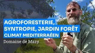 Vers l'agroforesterie syntropique en climat arride, visite du domaine de Mazy