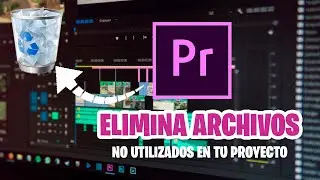 🗑️How to DELETE unused FILES in PREMIERE PRO