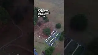 Till vs no till farming 
