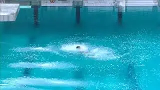 Boys A Platform - Eindhoven Diving Cup 2023