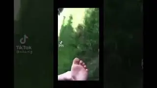 im dying 😂😂🤣