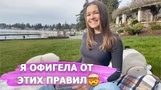 Работа в США, Американская IT компания. Легко ли работать с Американцами? Это вас может удивить!