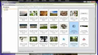 SiteSkins: Adding Social Media Buttons or Icons to Your Website